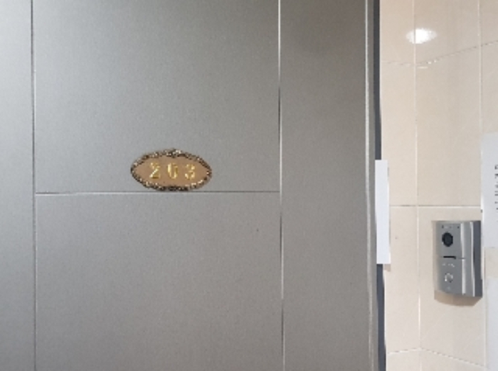 세대현관문(203호)