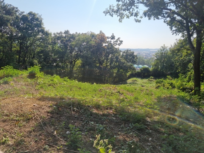 본건 토지내 및 경계부분의 분묘