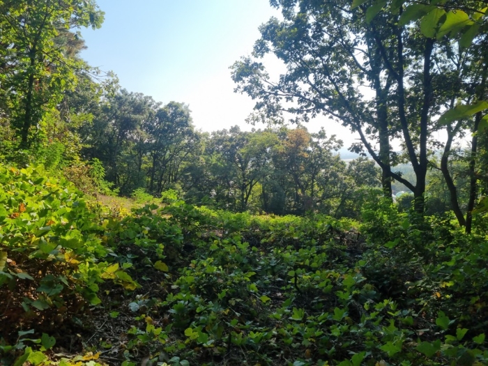 본건(북측에서 촬영)