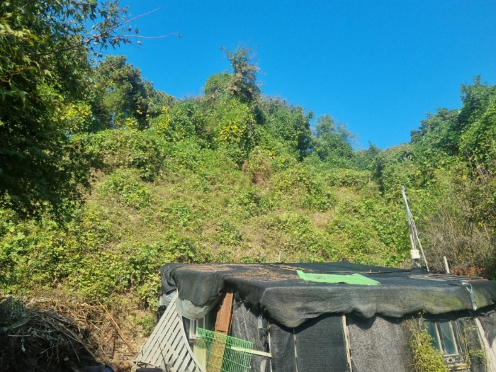 본건(남측에서 촬영)