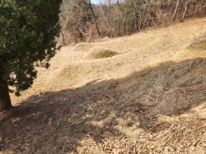 목록 3. 임야 인근 묘지(정확한 경계 측정을 통해 해당 임야 포함 여부 특정해야 함)