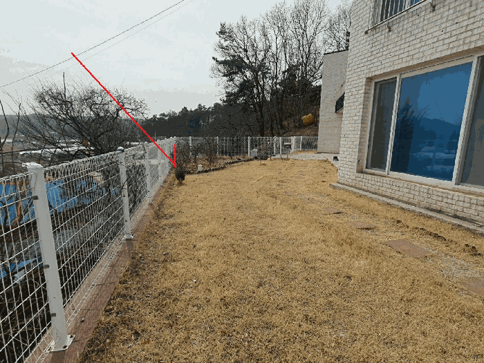 기호4 일부 전경