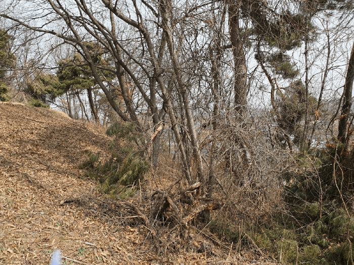 기호3 내부 전경