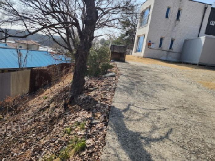 목록 4. 대지 전경(주택 앞부분 대지)