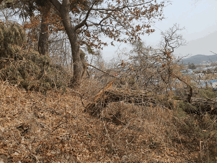 기호3 내부 전경