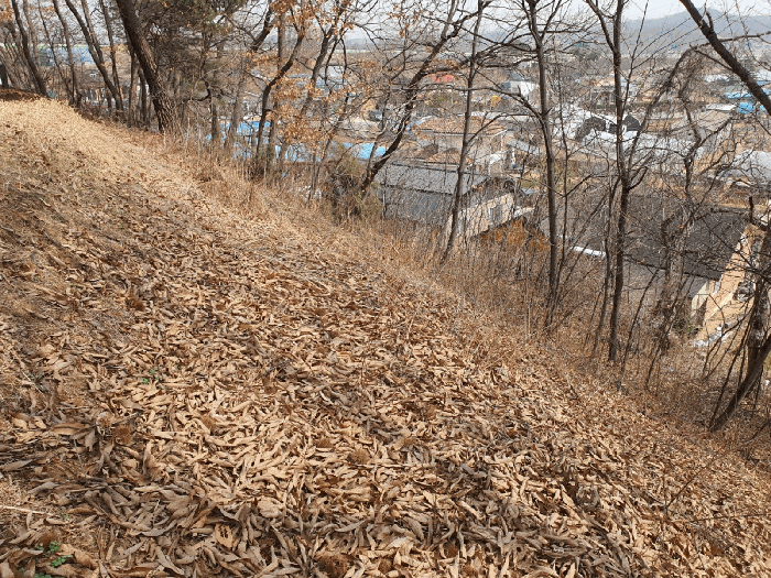 기호3 내부 전경