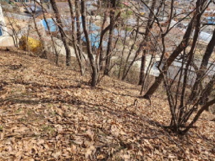 목록 3. 임야 전경(1)