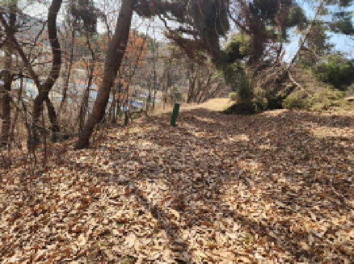 목록 3. 임야 전경(2)