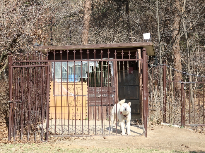제시외 건물 기호(ㄹ)