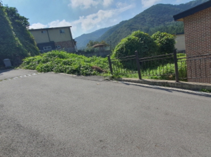 현장사진(토지: 관음리 198-24, 198-46, 198-49 전경)