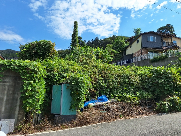 [일련번호 1-3 토지 전경(서측에서 촬영)]