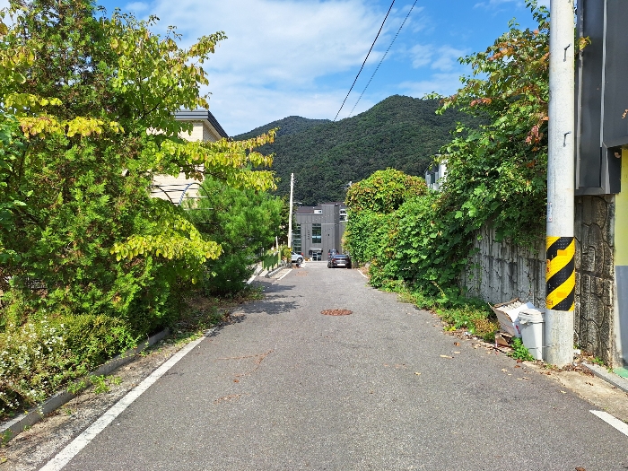 [일련번호 4(도로)(일련번호 1-3 서측 도로)(남측에서 촬영)]