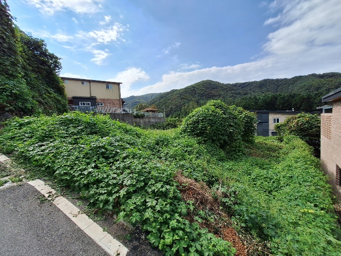 [일련번호 1-3 토지 전경(북동측에서 촬영)]