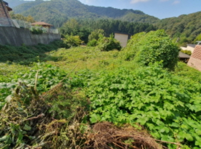 현장사진(토지: 관음리 198-24, 198-46, 198-49 전경)