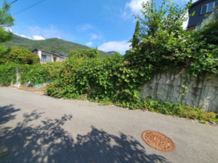 현장사진(토지: 관음리 198-24, 198-46, 198-49 전경)