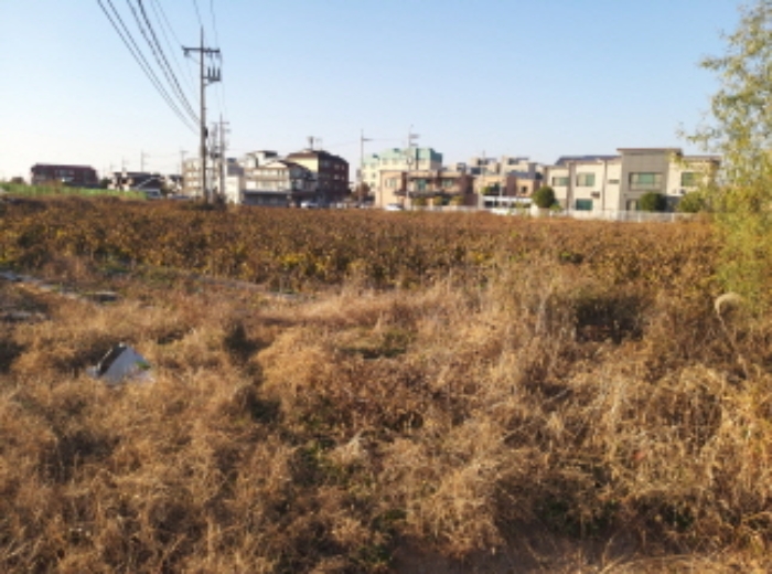 * 본건 목적물 전경