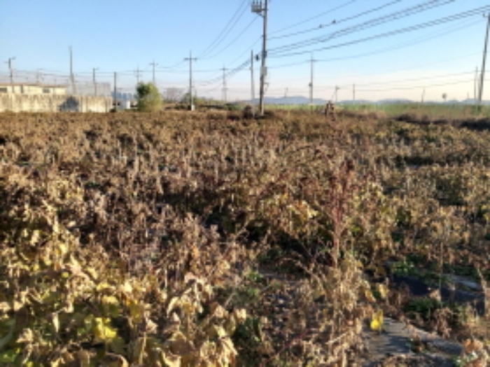 * 본건 목적물 전경