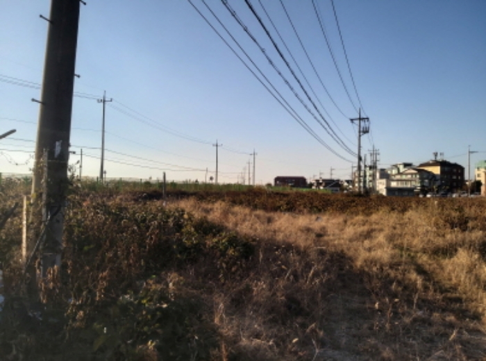 * 본건 목적물 전경(전봇대 2개)