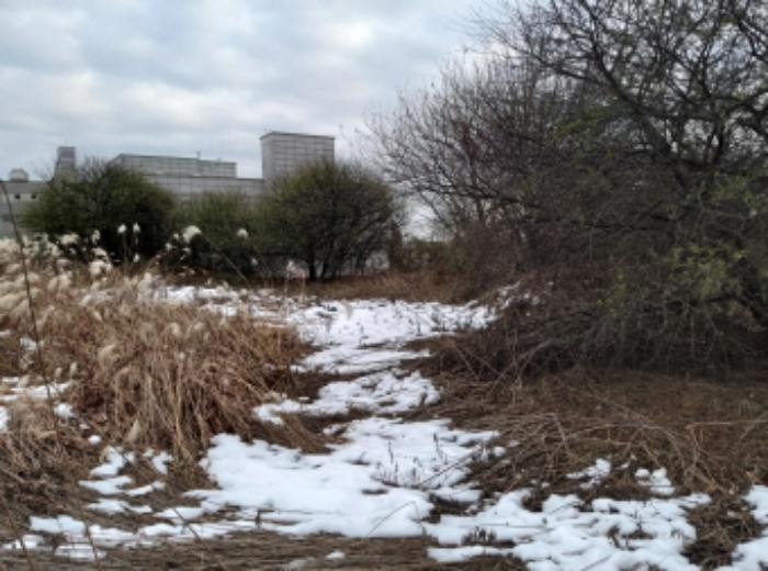 * 본건 목적물 2. 전경