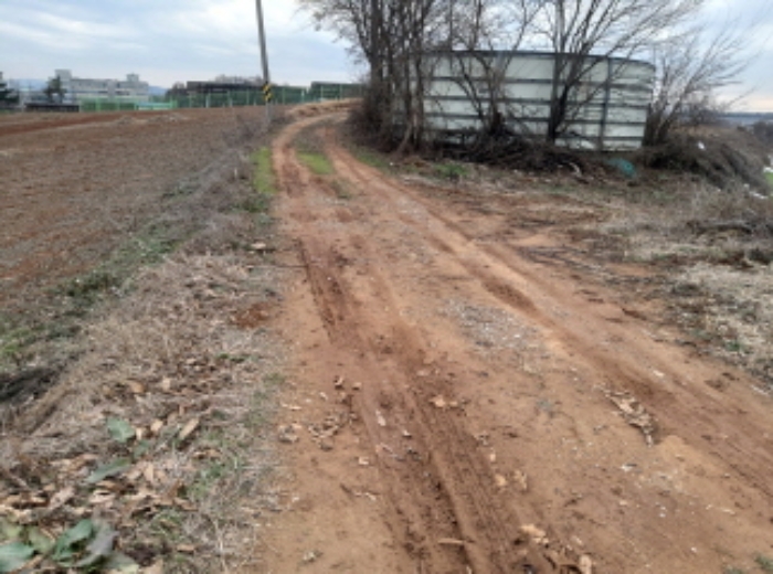 * 본건 목적물 인접도로 전경