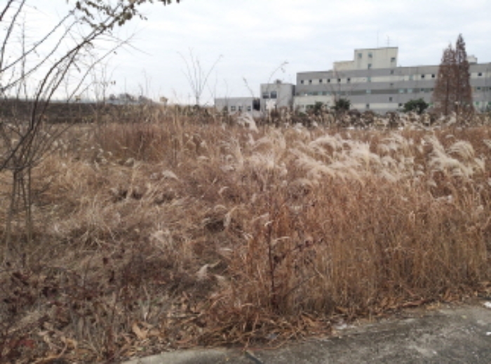 * 본건 목적물 2. 전경