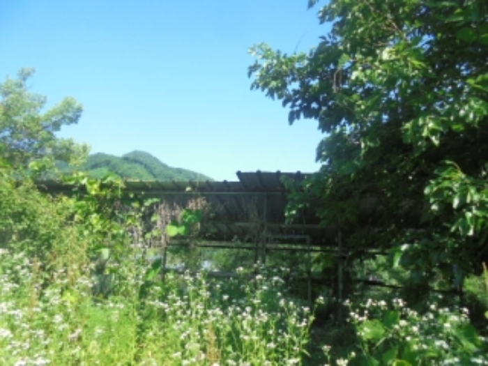 목적물 5번에 창고(제시외)