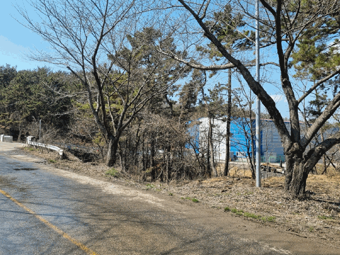 본건 사진(일련