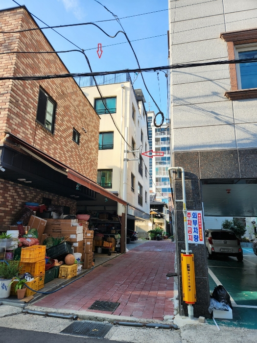 본건의 전경
남측에서 북측을 향하여 촬영