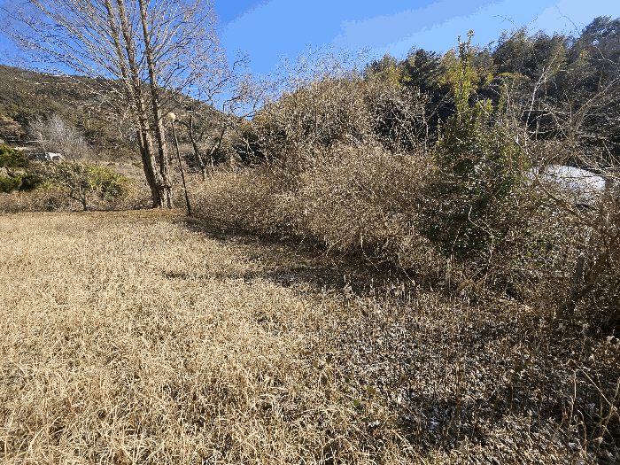 15.본건6전경(북서측전경)