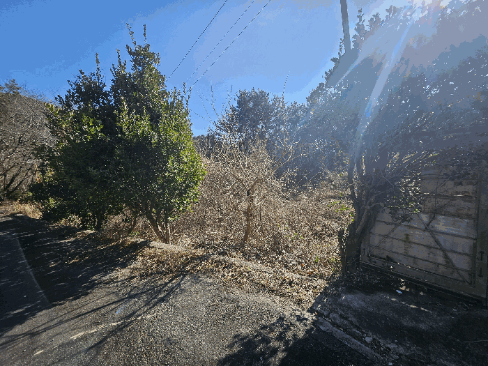 12.본건3전경(북측전경)