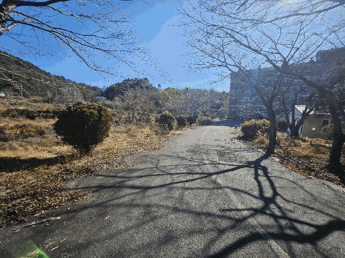 16.본건7전경일부