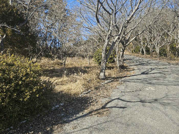 13.본건4전경(남동측전경)