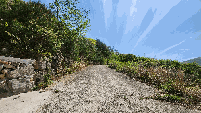 【본건 내부도로 전경】