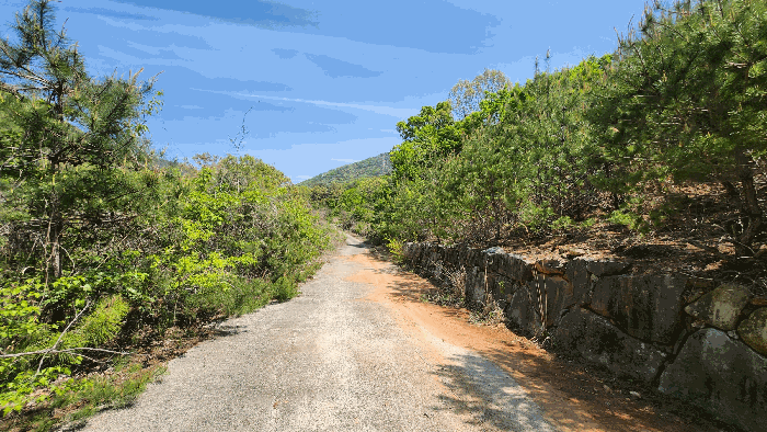 【본건 내부도로 전경】