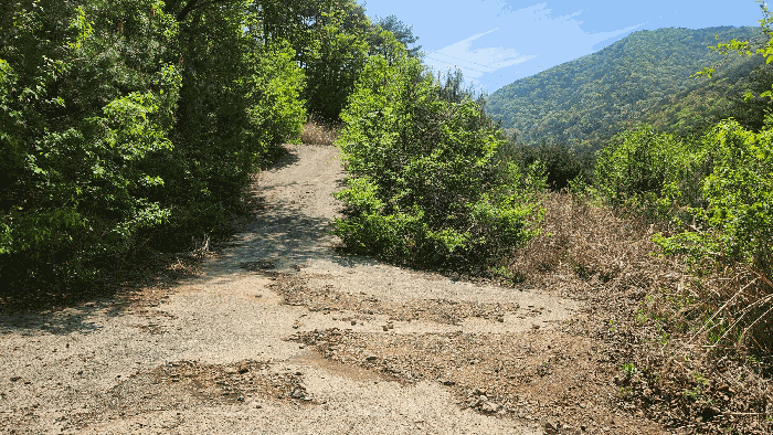 【본건 기호1 전경】