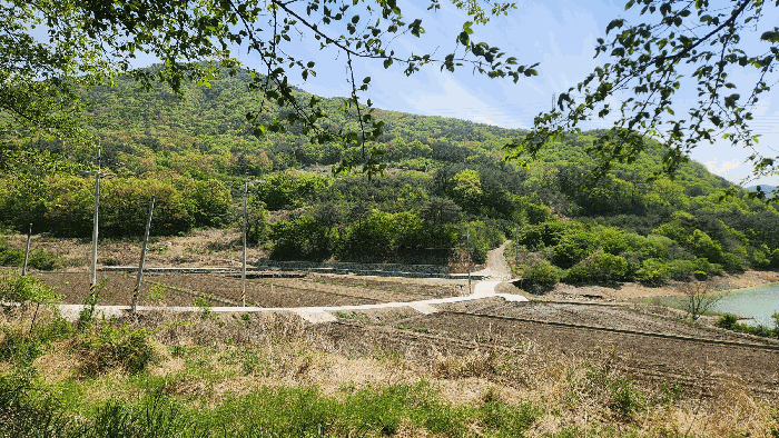 【본건 전체 전경 및 인근 전경 】