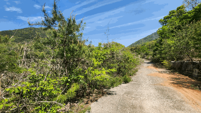 【본건 기호1 전경】