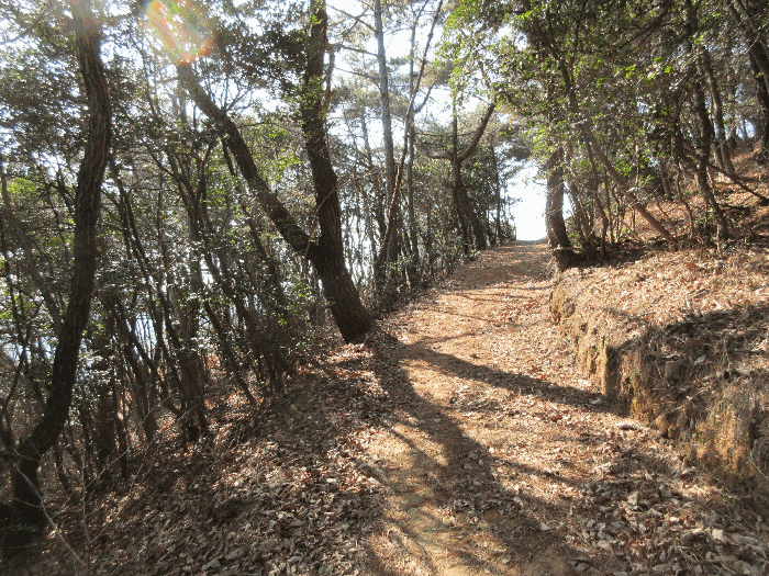 【 본 건 주위 환경 】