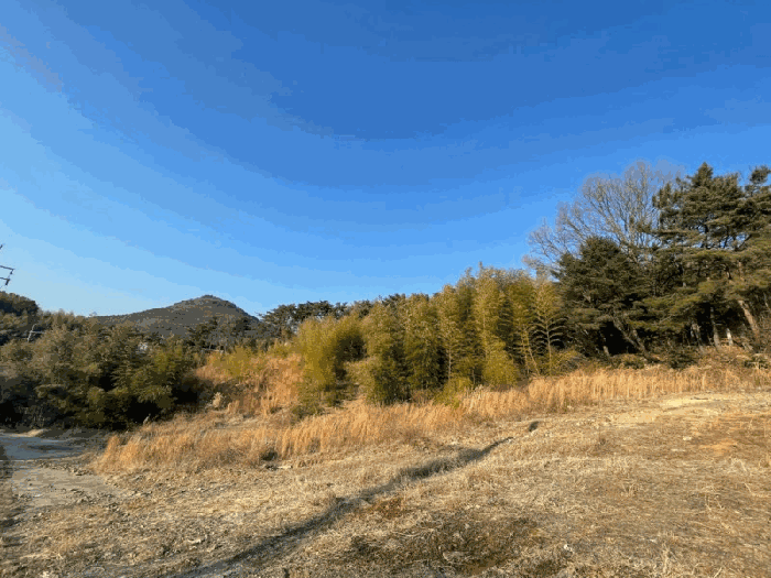 1. 본건 기호(3~6)전경