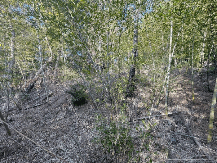 6. 본건 기호(6) 분묘 소재