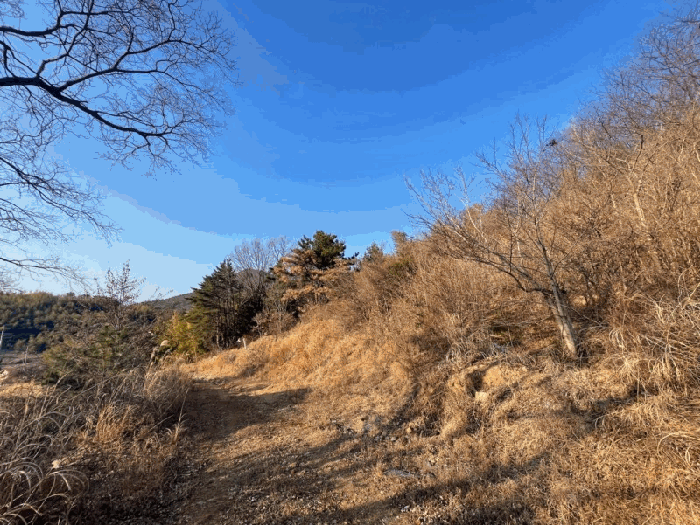 3. 본건 기호(1,2) 전경