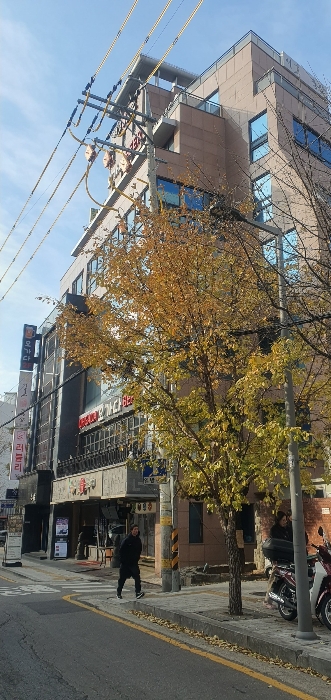 본건이 소재한 건물 전경②