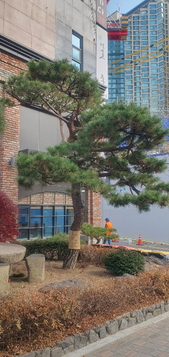 제시외 물건(ㄹ) 전경