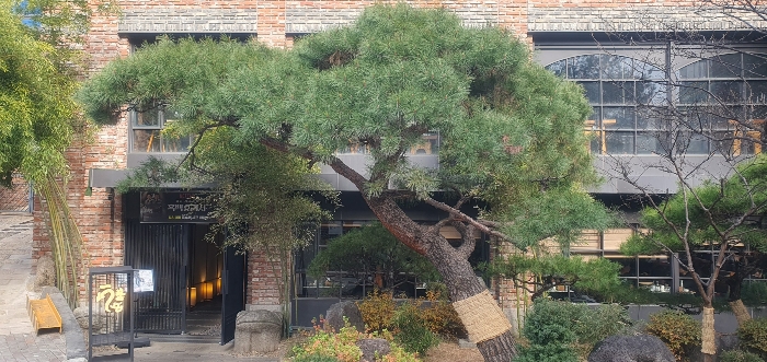 제시외 물건(ㄴ) 전경