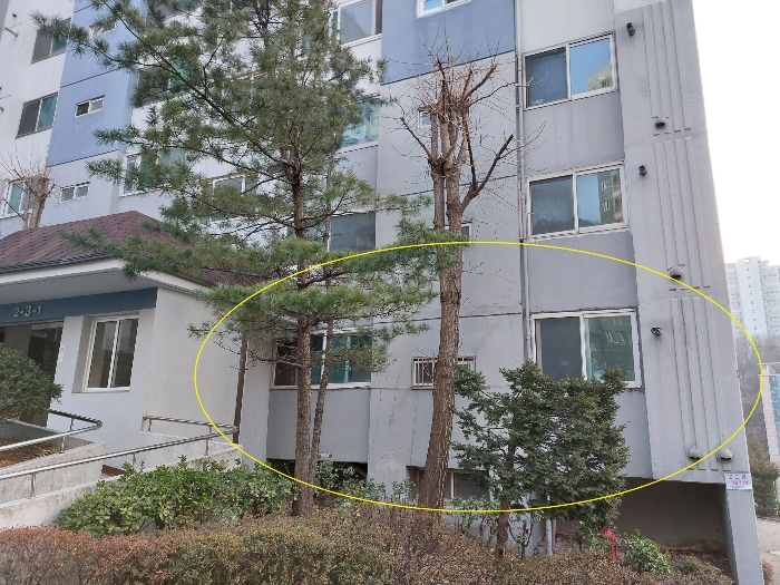 본건세대 북동측 전경