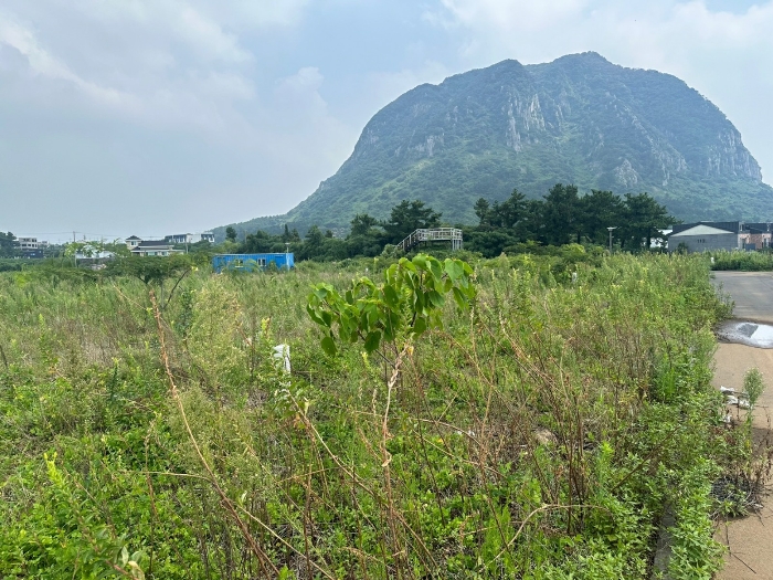 기호(2,16-18) 전경