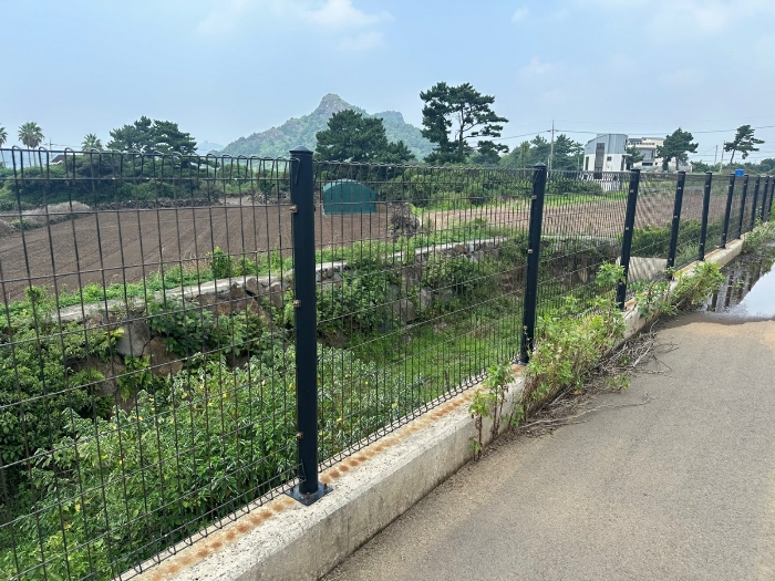 기호(13) 전경