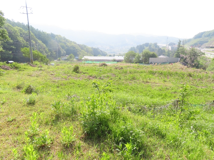 본건; 기호(6) 북서측에서 촬영