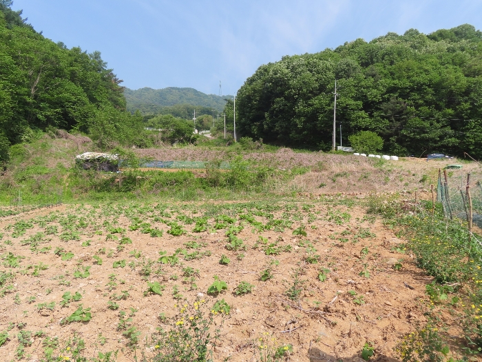 기호(5,6) 및 제시외 농막㉡