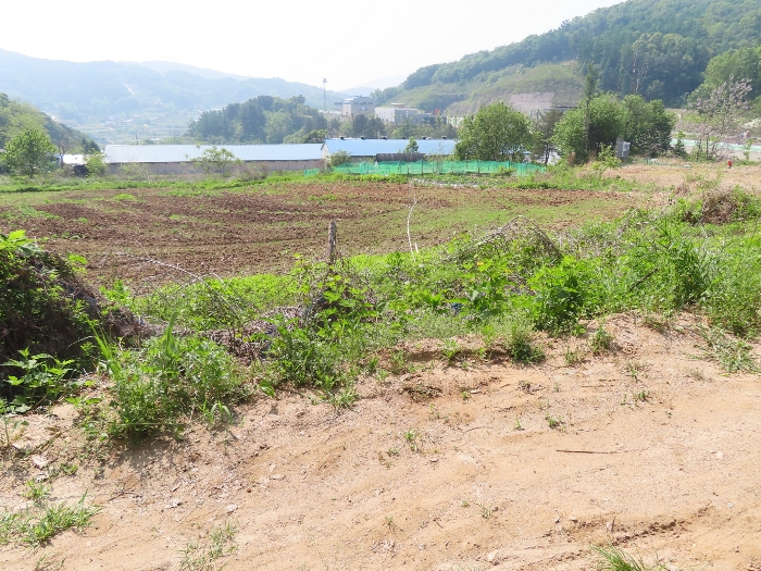 기호(2-5); 기호(5) 북측에서 촬영